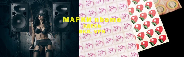 тгк Аркадак