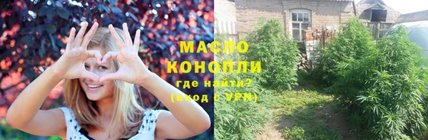 индика Нефтекумск