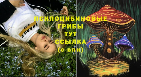 хмурый Армянск