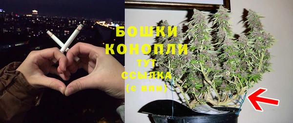 индика Нефтекумск